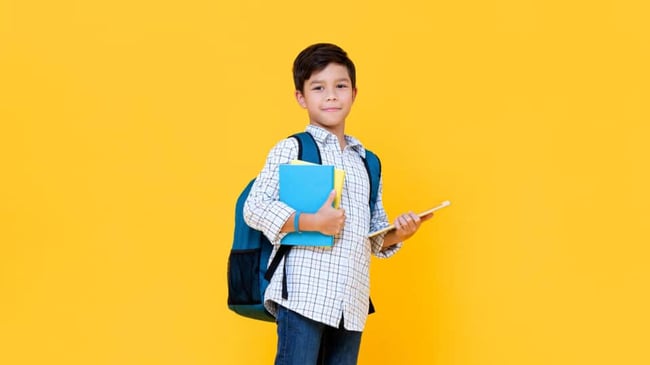 What online and offline capabilities do you need in a reader pen?